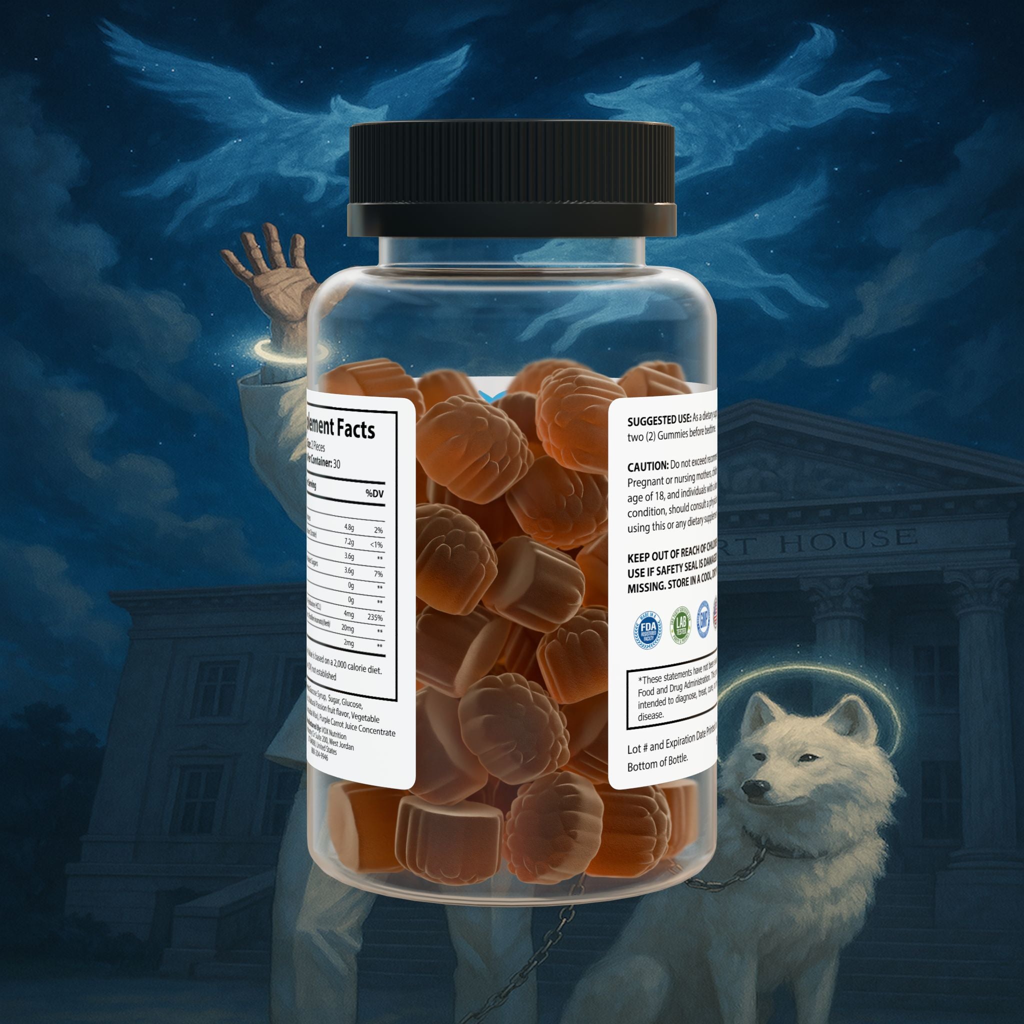 Sleep Well Gummies (60 Gummies)