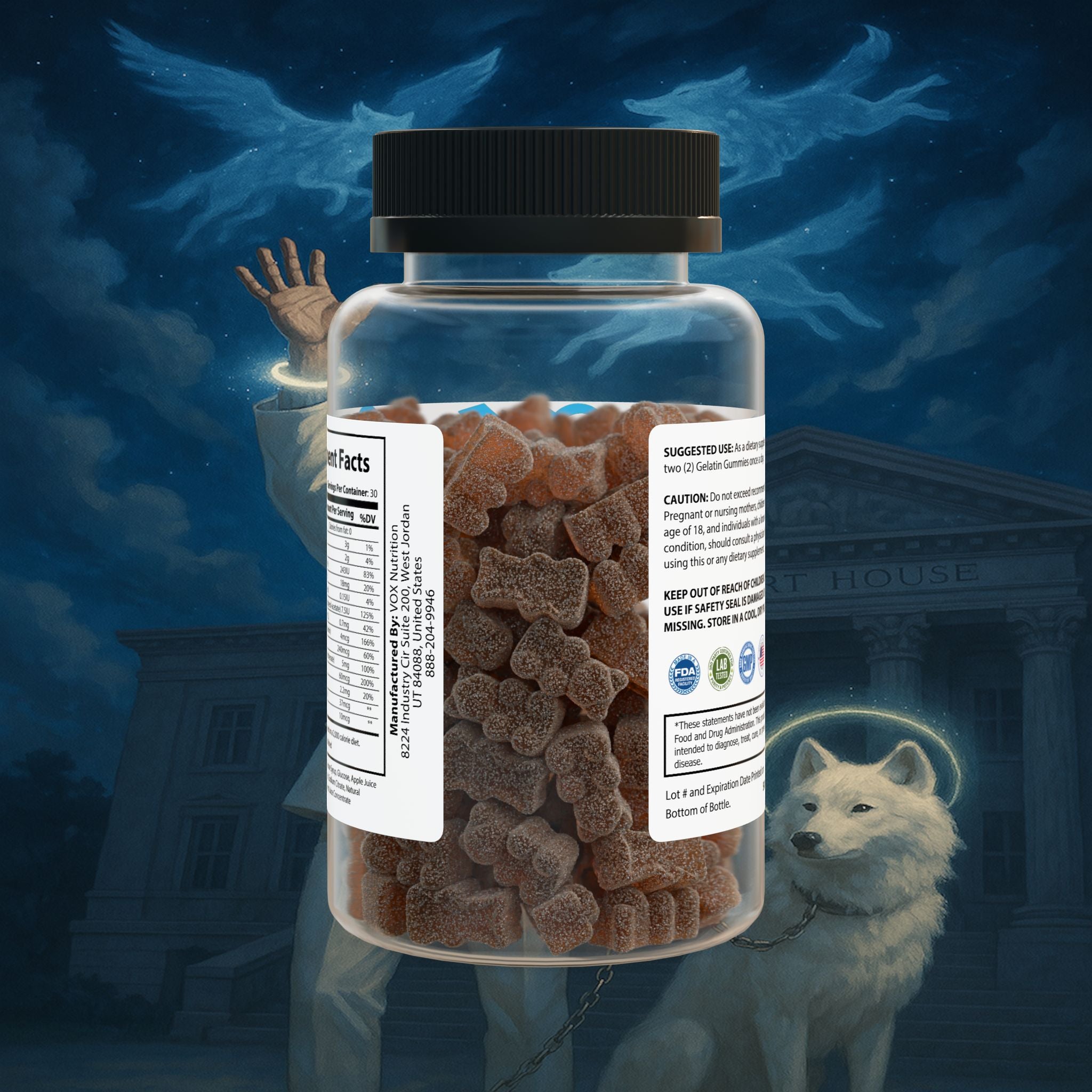 Multivitamin Gummies for Adults (60 Gummies)